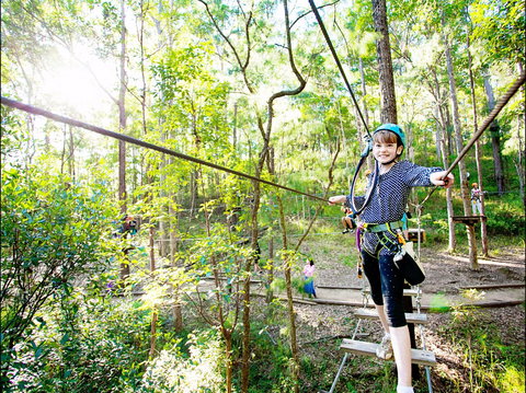 TreeTop Challenge - Sydney Tourism 2