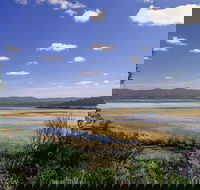 Wallagoot Lake Picnic Area and Boat Ramp - Sydney Tourism