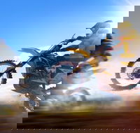 Willowbank MX - Sydney Tourism