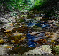 Willi Willi National Park - Sydney Tourism