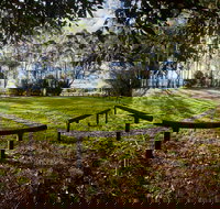 Aboriginal Bora Ring - Sydney Tourism
