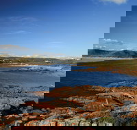 Arthur River - Sydney Tourism