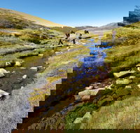 Australian Alps Walking Track - Sydney Tourism