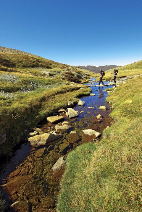Australian Alps Walking Track - Sydney Tourism 0
