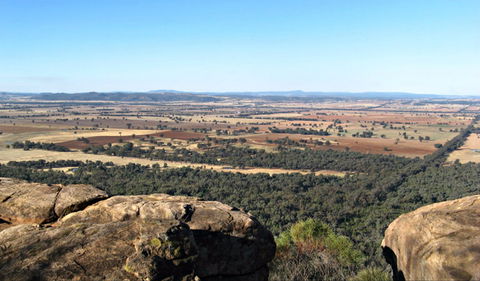 Basin Gully To Eualdrie Lookout Track - Sydney Tourism 0
