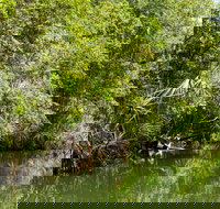 Berry Springs Nature Park - Sydney Tourism