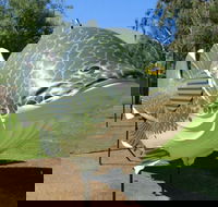 Big Murray Cod - Sydney Tourism