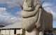 Big Merino - thumb 0