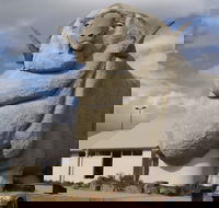 Big Merino - Sydney Tourism