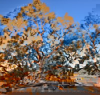 Burke and Wills Dig Tree - Sydney Tourism