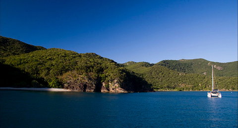 Butterfly Bay - Hook Island - Sydney Tourism 0
