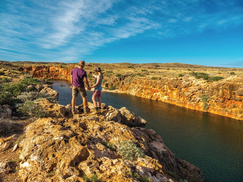 Cape Range Wildflower Trail - Sydney Tourism 0