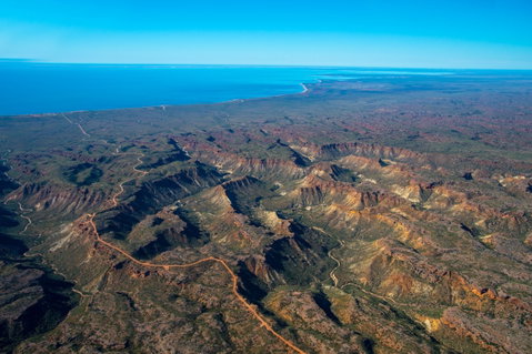 Cape Range Wildflower Trail - Sydney Tourism 1