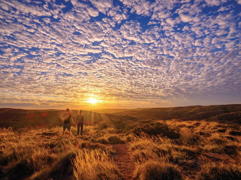Cape Range Wildflower Trail - Sydney Tourism 2