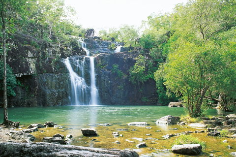 Cedar Creek Falls - Sydney Tourism 0