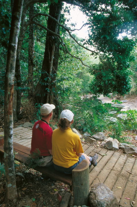 Cedar Creek Falls - Sydney Tourism 1