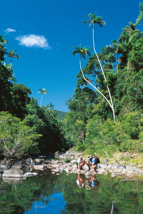 Cedar Creek Falls - Sydney Tourism 2
