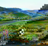 Chittering - Sydney Tourism