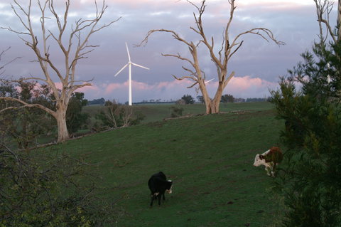 Crookwell Wind Farm - Sydney Tourism 1