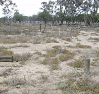 Culgoa Connellys Track - Sydney Tourism