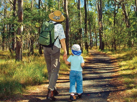 Daisy Hill - Sydney Tourism 2