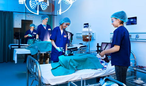 DreamCity - Sydney Tourism 0