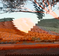 Dutchman Stern Conservation Park Trail - Sydney Tourism