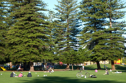 Esplanade Reserve - Sydney Tourism 0