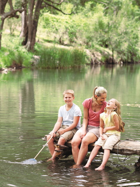 Goomburra - Sydney Tourism 1