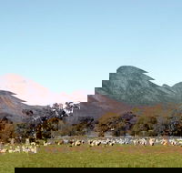Grampians - Sydney Tourism