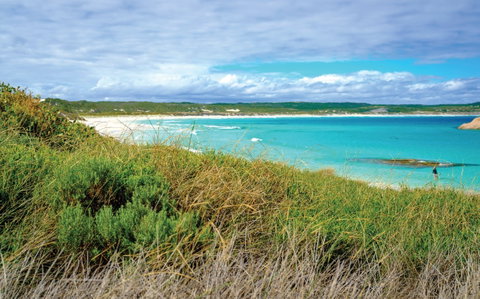 Great Ocean Drive - Sydney Tourism 2