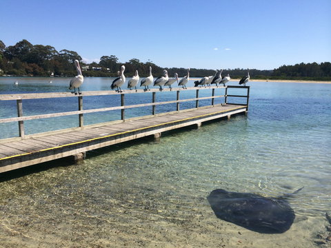 Kayaking Tomaga River - Sydney Tourism 2