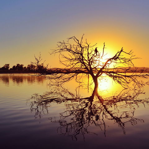 Lake Dyer - Sydney Tourism 0