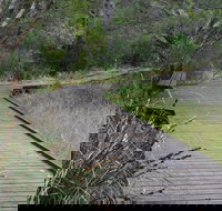 Leschenault Peninsula Conservation Park - Sydney Tourism