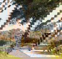 Meningie Walking and Cycling Trails - Sydney Tourism