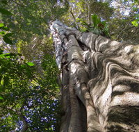 Moore Park Nature Reserve