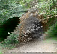 Mushroom Tunnel - Sydney Tourism