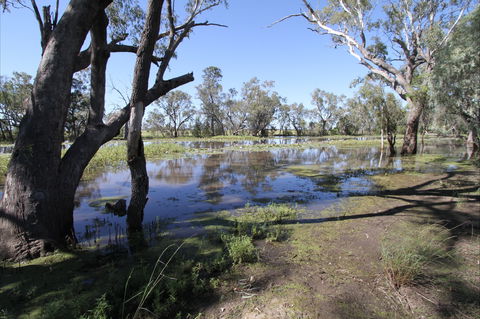 North Western Fishing Trail - Sydney Tourism 2