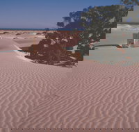 Nullarbor Plain - Sydney Tourism