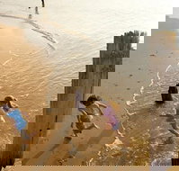 Phillip Island - Sydney Tourism