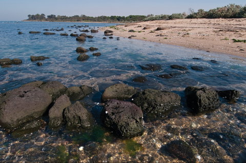 Point Cook Marine Sanctuary - Sydney Tourism 0