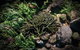 Point Cook Marine Sanctuary - thumb 2