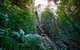 Scenic World Blue Mountains - thumb 0