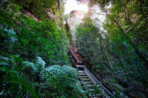Scenic World Blue Mountains - Sydney Tourism 0