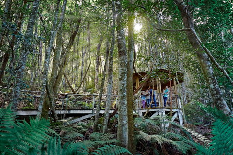Scenic World Blue Mountains - Sydney Tourism 2