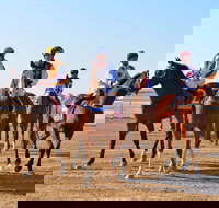 Simpson Desert Racing Carnival Trail - Sydney Tourism