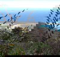 Strzelecki Peaks Great Short Walk - Sydney Tourism