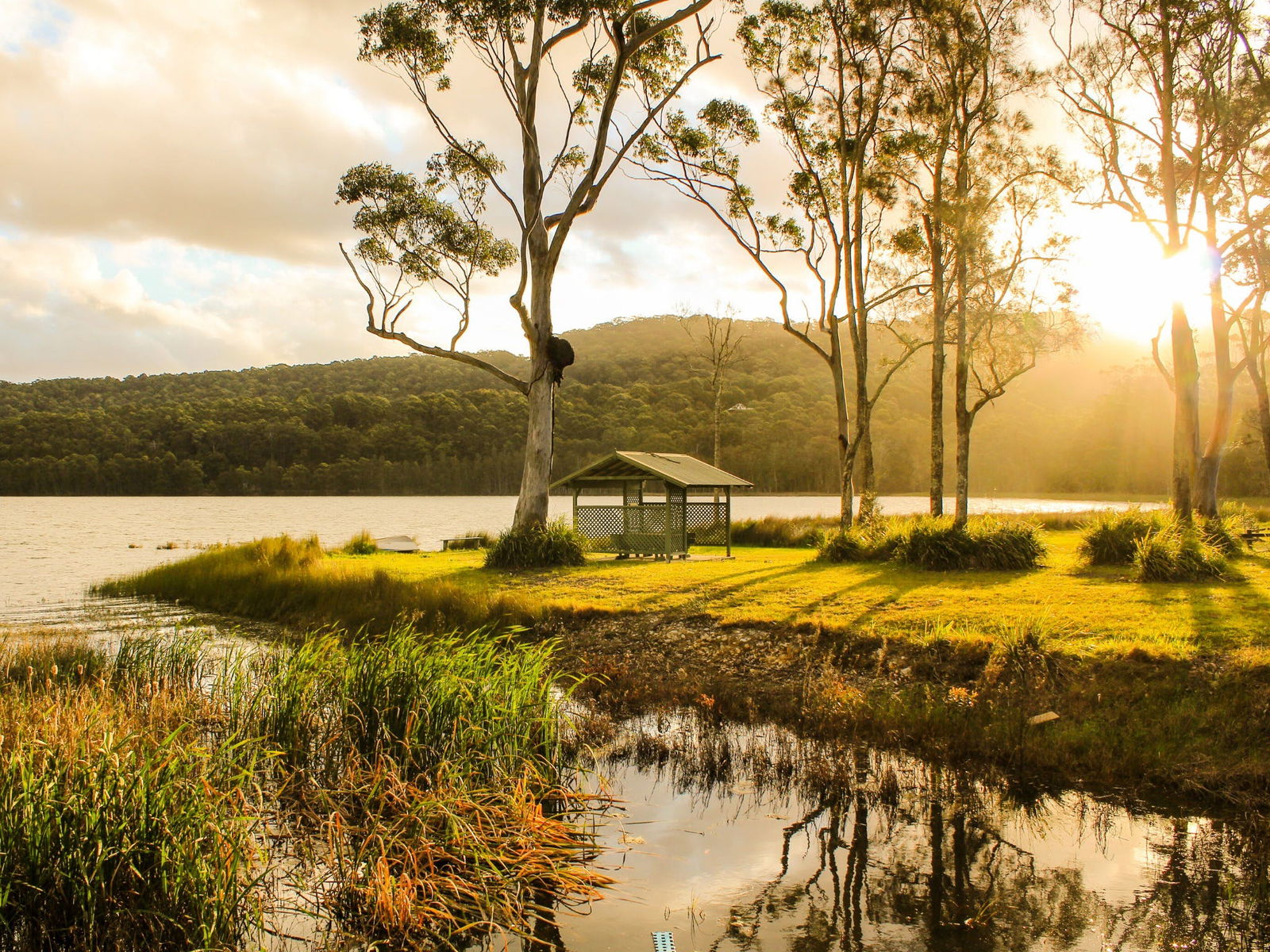 Tarbuck Bay NSW Sydney Tourism