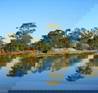 The Gums - Sydney Tourism