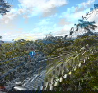 Walpole-Nornalup National Park - Sydney Tourism